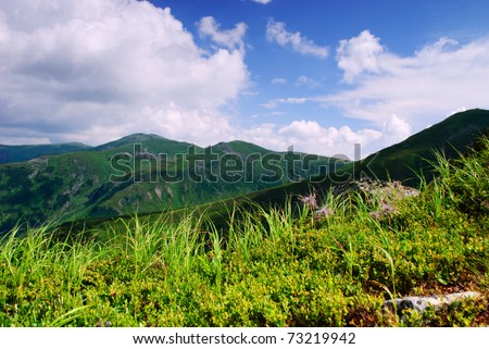 Beautiful blue sky and grass high up in Carpathian mountains, worm\'s eye view