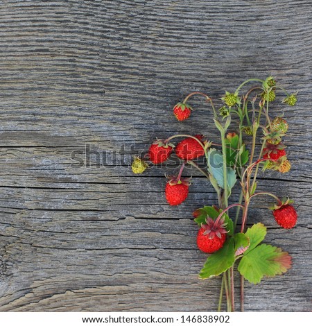 Bouquet of ripe wild strawberry on an old wooden background