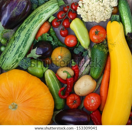 Set of vegetables: pumpkin, vegetable marrow, cauliflower, broccoli, tomato, cucumber, carrots, potatoes, pepper, eggplant, haricot
