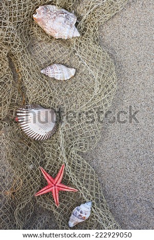 Shell and red starfish on fishing net on sand