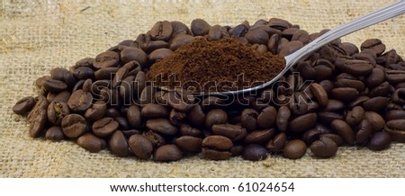Coffee in grains and a spoon with ground coffee on a sacking