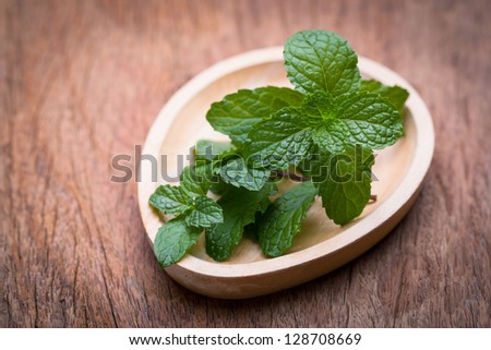 image of green fresh mint on table