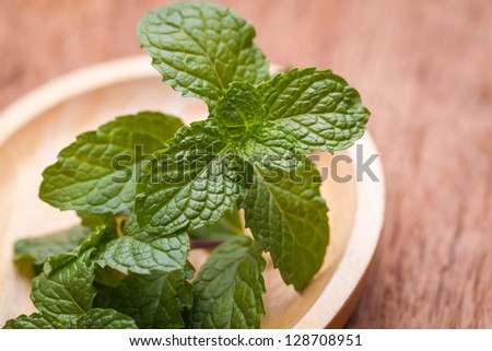 closeup image of fresh mint