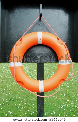 Water safety belt
