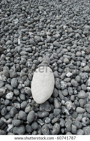 One white stone isolated on gray stones