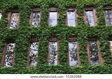 Ivy Covered Office Building in Seattle
