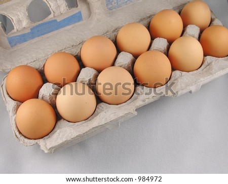 Carton of brown eggs