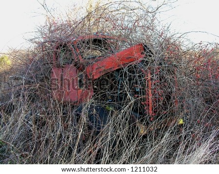 Overgrown brush on farm truck.