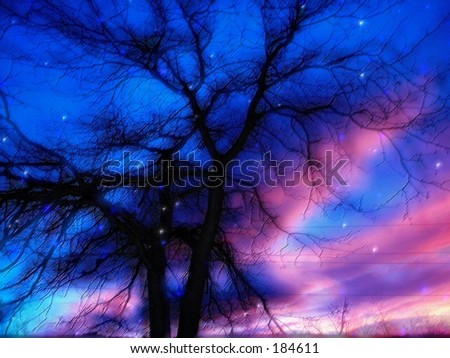 Twilight pastels photo-art .Dreamy winter scene.Neat close up , it looks like real pastels .