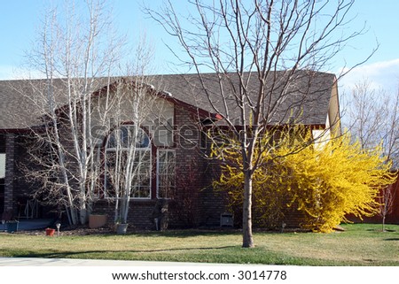 Spring time  in Grand Junction , Colorado . Fragment of house with trees in sunny neighbourhood .