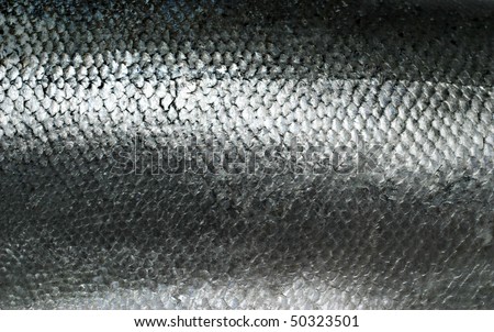 Salmon fish scales grunge texture back ground