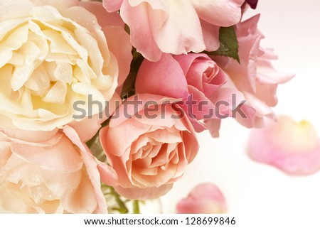 Flowers art. Wedding holiday card. Isolated on white background