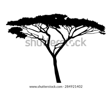 leadwood black singles Exotic hardwood - detailed information african blackwood / grenadillo - dalbergia melanoxylon family: leguminosae. leadwood black singles Exotic hardwood - detailed information african blackwood / grenadillo - dalbergia melanoxylon family: leguminosae.
