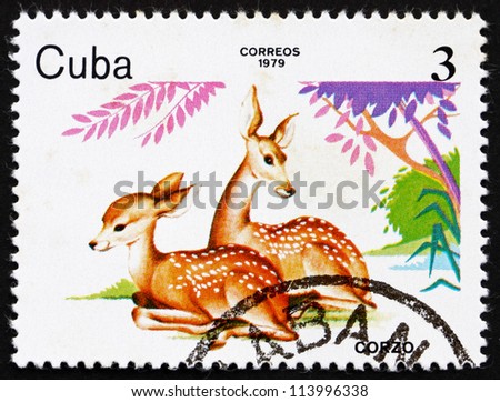 CUBA - CIRCA 1979: a stamp printed in the Cuba shows Deer, ZOO Animals, circa 1979