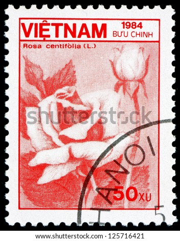 VIETNAM - CIRCA 1984: a stamp printed in Vietnam shows Cabbage Rose, Rosa Centifolia, Flower, circa 1984