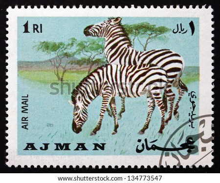 AJMAN - CIRCA 1969: a stamp printed in the Ajman shows Plains Zebra, Equus Quagga, Animal, circa 1969