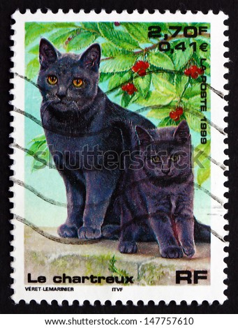 FRANCE - CIRCA 1999: a stamp printed in the France shows Chartreux Cat, Pet, circa 1999