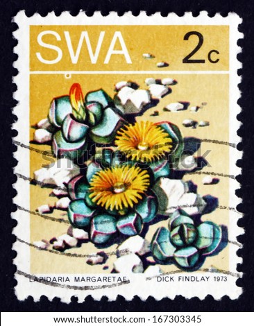 SOUTH WEST AFRICA - CIRCA 1973: a stamp printed in South West Africa shows Karoo Rose, Lapidaria Margaretae, Succulent Plant, circa 1973