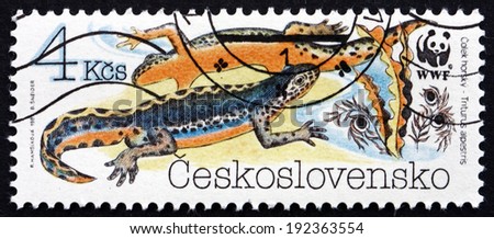 CZECHOSLOVAKIA - CIRCA 1989: a stamp printed in the Czechoslovakia shows the Alpine Newt, Triturus Alpestris, Amphibians, World Wildlife Fund, circa 1989