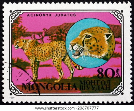 MONGOLIA - CIRCA 1979: a stamp printed in Mongolia shows Cheetah, Acinonyx Jubatus, African Animal, circa 1979