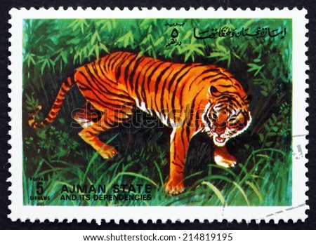 AJMAN - CIRCA 1972: a stamp printed in the Ajman shows Tiger, Pantera Tigris, Animal, circa 1972