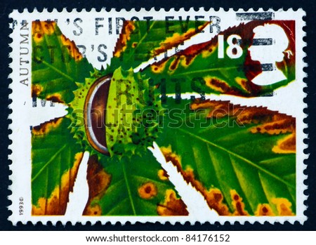 GREAT BRITAIN ? CIRCA 1993: a stamp printed in the Great Britain shows Horse chestnut, autumn fruit, circa 1993