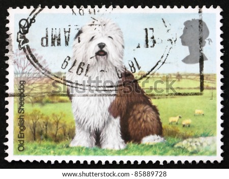 GREAT BRITAIN - CIRCA 1978: a stamp printed in the Great Britain shows Old English Sheepdog, British dogs, circa 1978