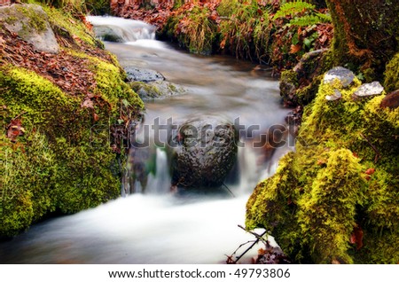 Small stream with waterfalls feeding into the River Dart in Devon, UK.