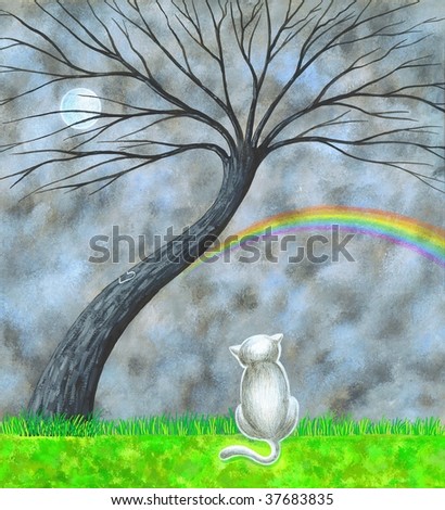 Cat under the Rainbow
