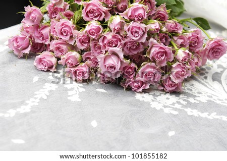 Big Roses Bouquet and Silk background