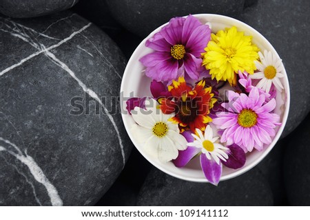 colorful flowers in bowl with stones