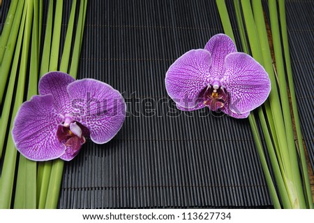 Two Pink orchid and stones with green plant on stick straw mat