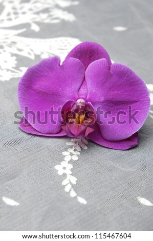 Red orchid on the white lace background