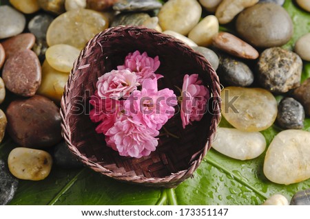 Pink flower in basket and pebbles on a wet green mat
