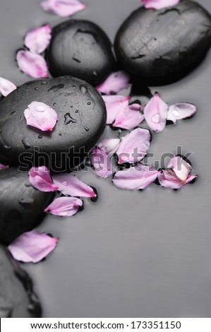 Still life with Zen Stones and rose petals