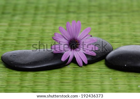 zen stones and gerbera flowers on green stick straw mat