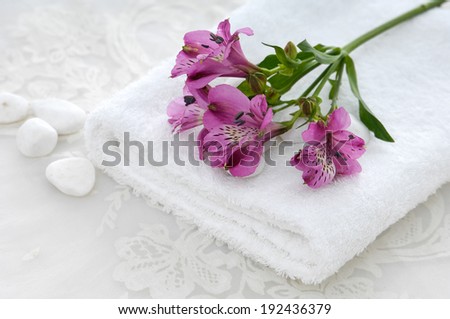 Set of Branch pink orchid with white stones on white towel
