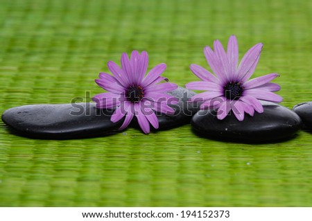 Black stones and gerbera flowers on stick straw mat