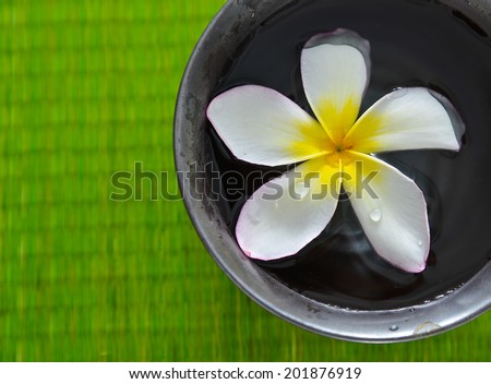 border of frangipani flower in bowl on mat