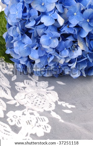 Border of bouquet blue hydrangea