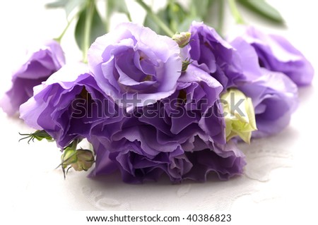 Lay down bouquet pink lisianthus flowers