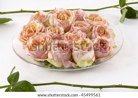 Bowl of pink rose with rose stem