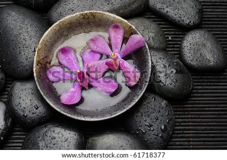 Two Pink orchid flower floating in wooden bowl with wet stones