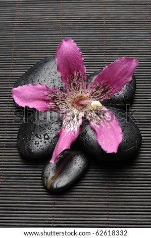 Close up pink orchid and zen Stones on bamboo stick straw mat