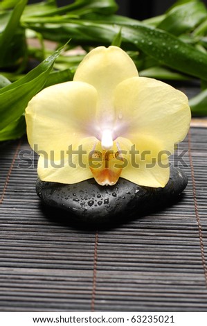 still life with yellow orchid with bamboo leaf ,bamboo leaves on mat