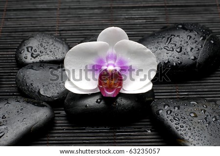 Macro of orchid and zen Stones with wet stones on bamboo stick straw mat