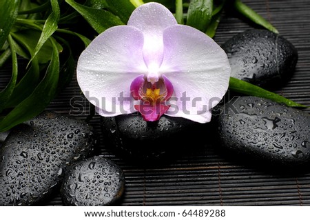 White orchid and zen Stones with green plant on bamboo stick straw mat
