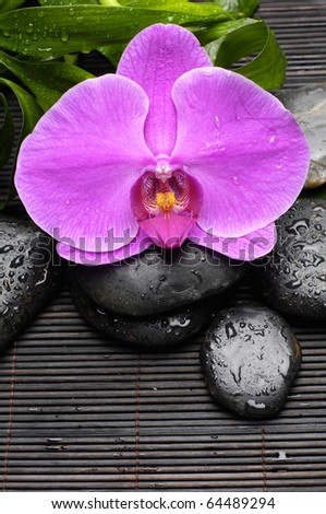 Pink orchid and zen Stones with green plant on bamboo stick straw mat