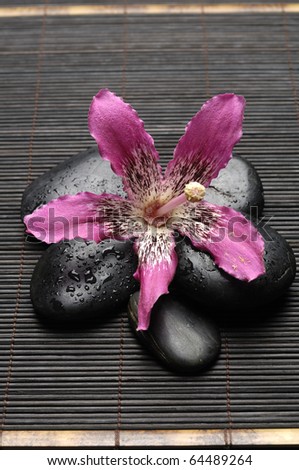 Macro of orchid and zen Stones on bamboo stick straw mat