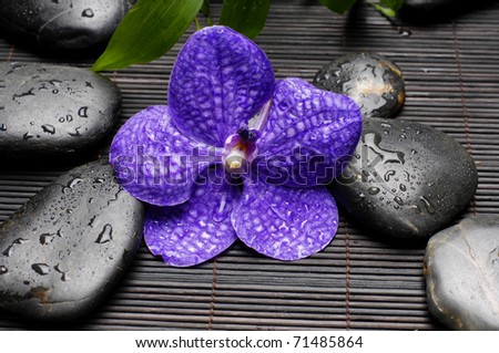 Blue orchid and zen wet Stones on bamboo mat